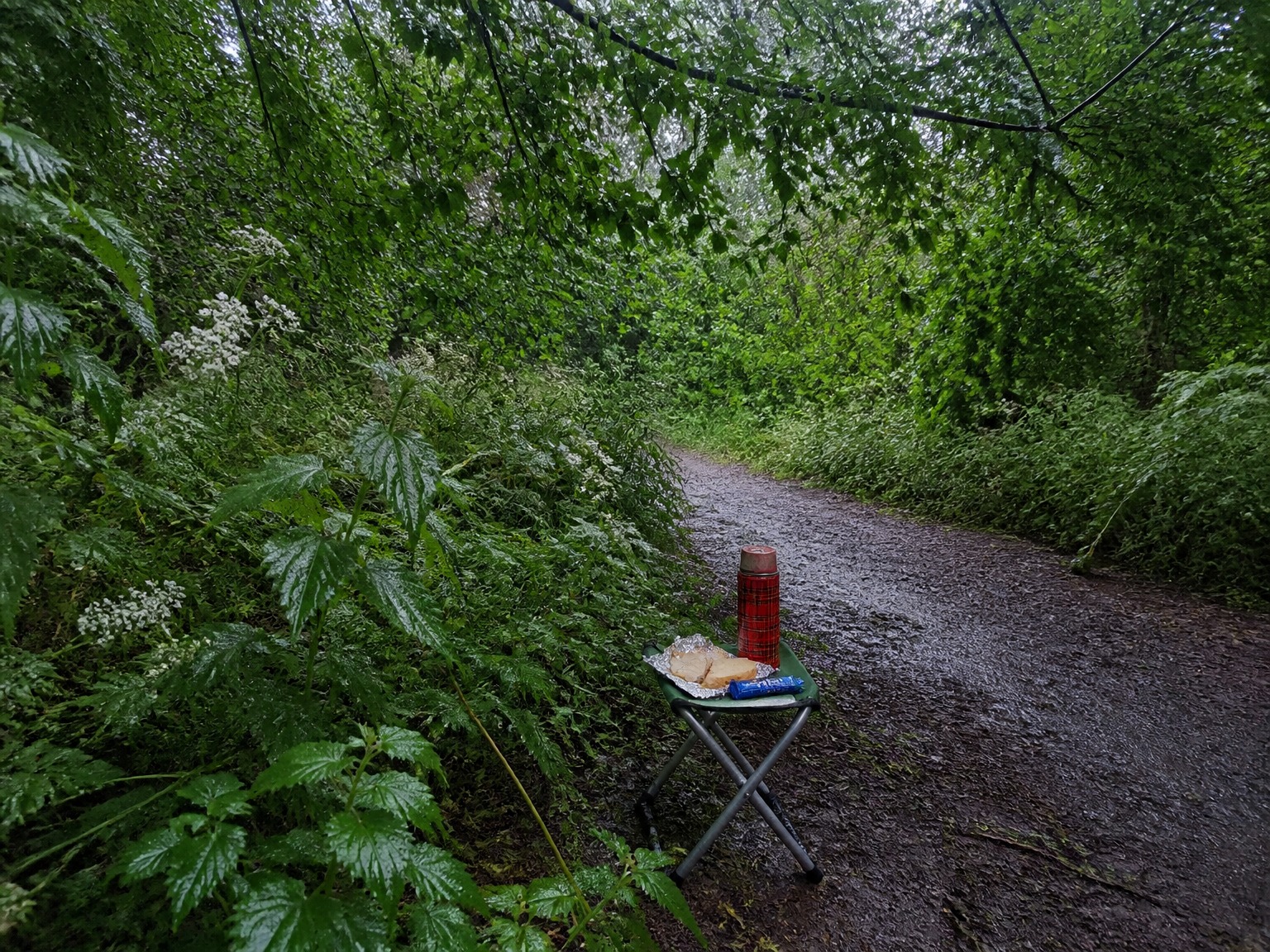 A red tartan flask, two foil-wrapped sandwiches and a Penguin biscuit on a small green folding stool on a wet woodland path in heavy summer rain